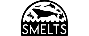 Smelts-Thesis-Logos.png
